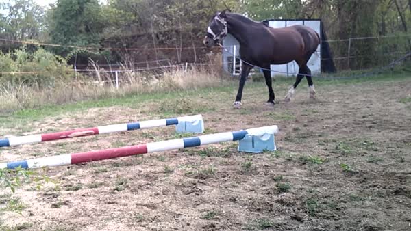 VID_20260916_151605
