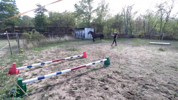 VID_20260916_152000